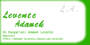 levente adamek business card